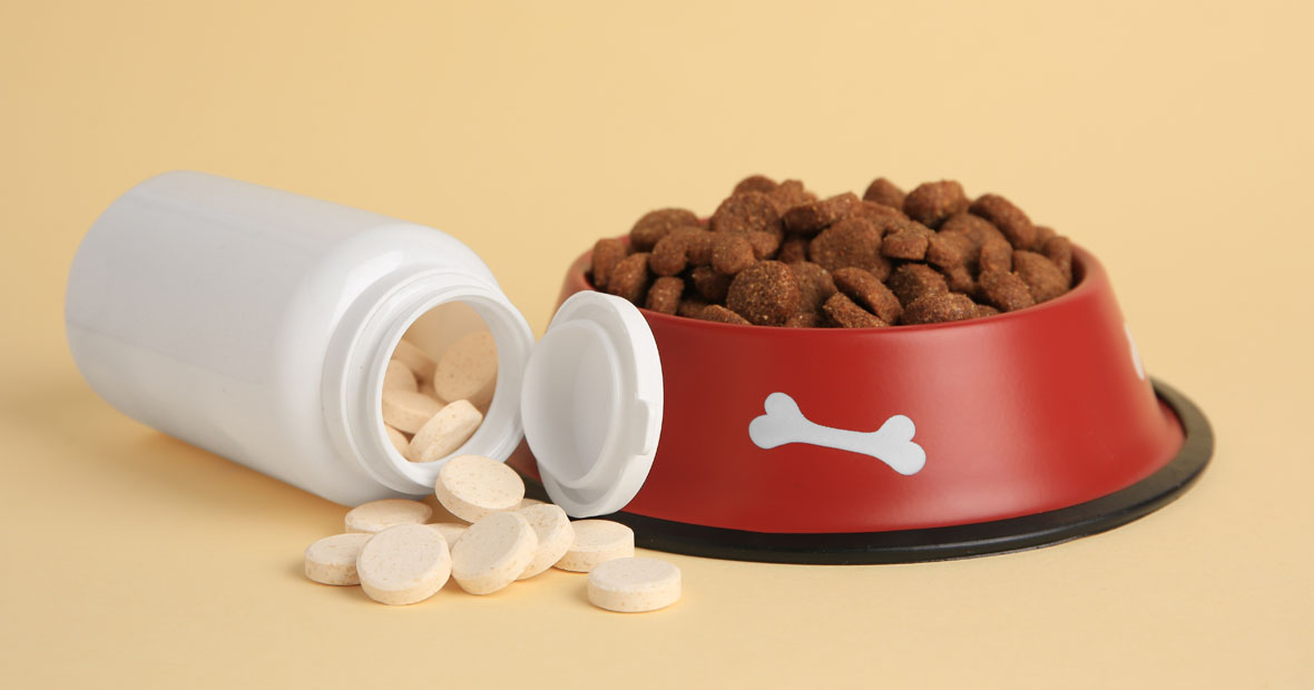compléments alimentaires pour animaux